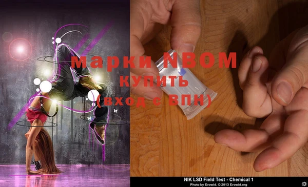 PSILOCYBIN Нефтегорск